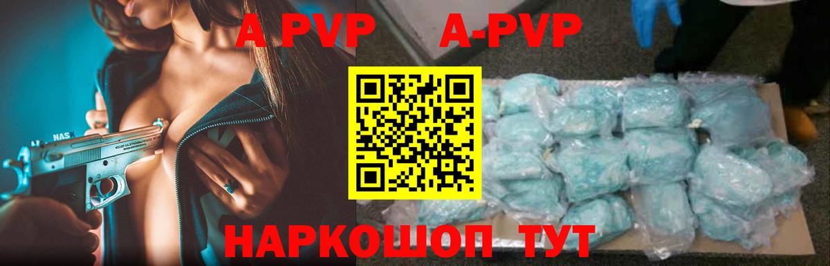 A PVP СК КРИС Нововоронеж