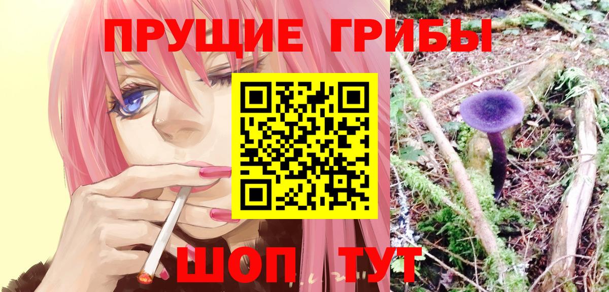 Псилоцибиновые грибы ЛСД Нововоронеж