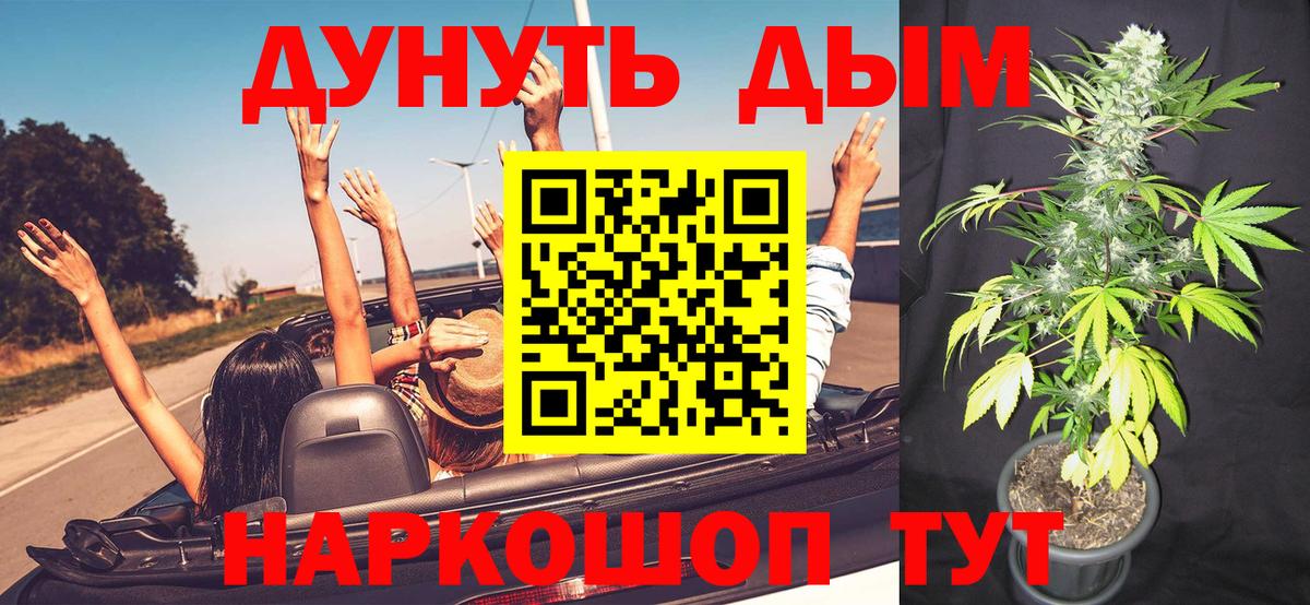 Марихуана марихуана  Марихуана OG Kush  Бошки марихуана планчик  Вход с VPN  Нововоронеж 